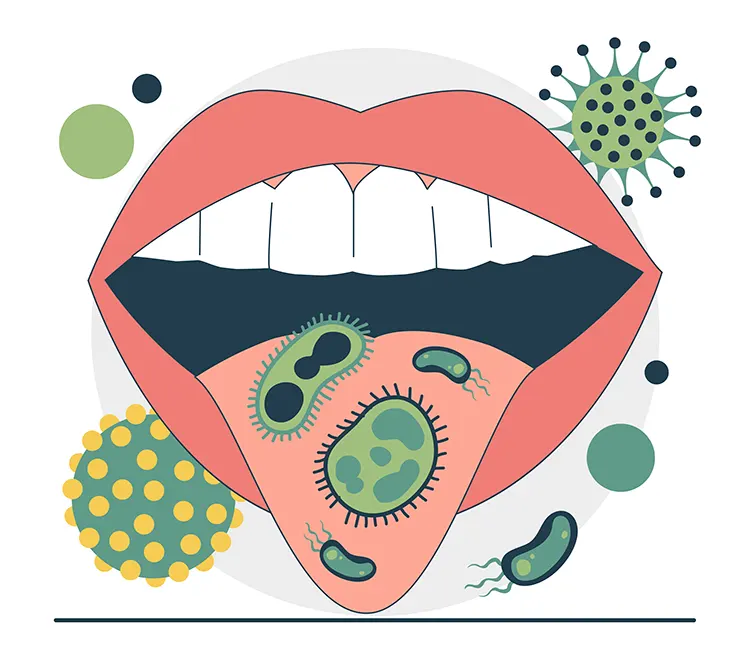 Bacteria accumulate in the oral cavity
